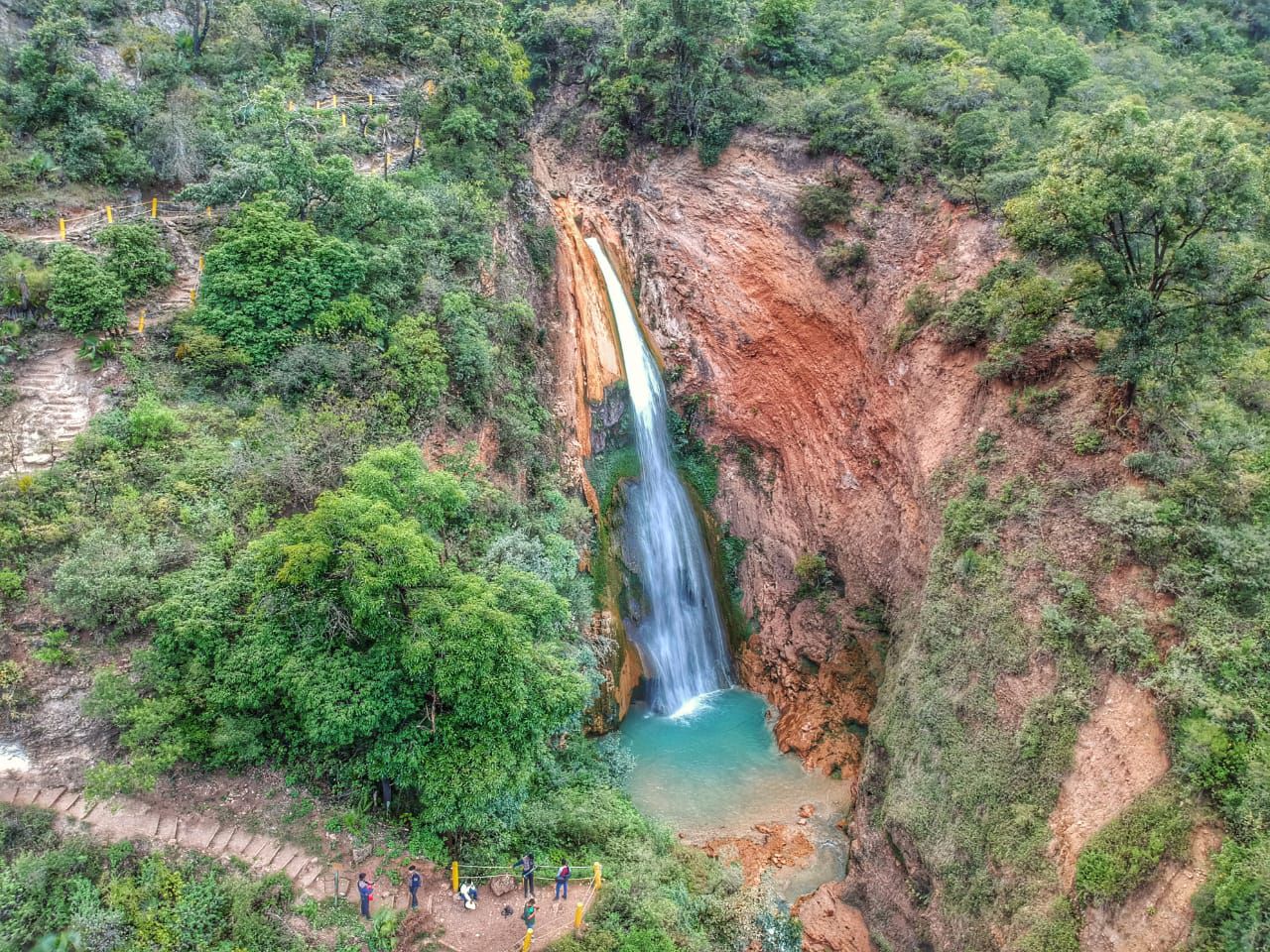 Apoala